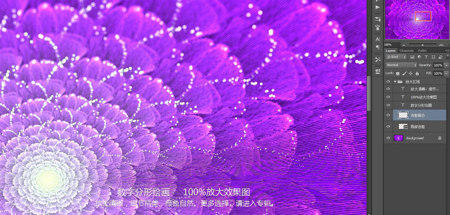 花朵