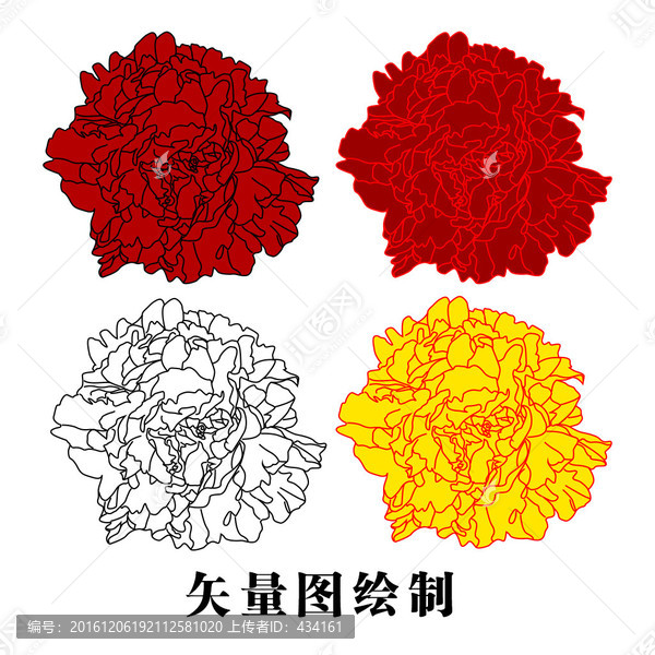 牡丹花