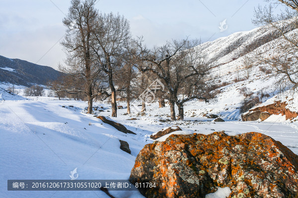 天山山脉积雪