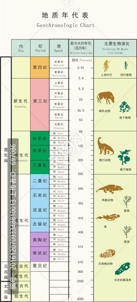 年代表