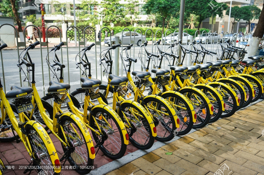 ofo,共享单车