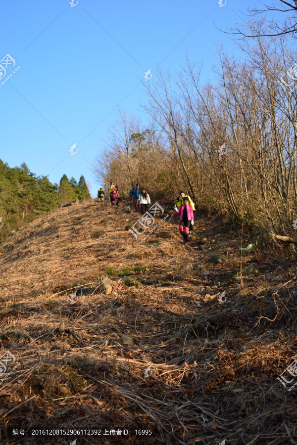 天目山自然保护区