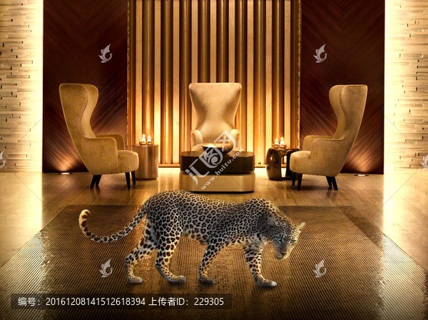溜到室內(nèi)的豹子