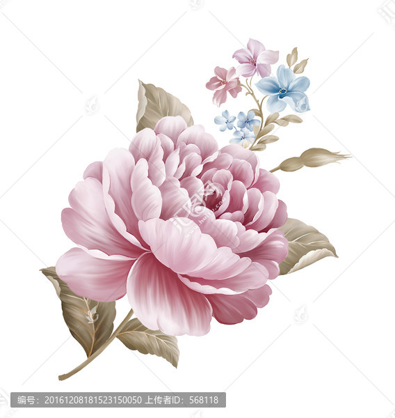 朵花