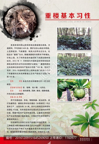 重樓介紹