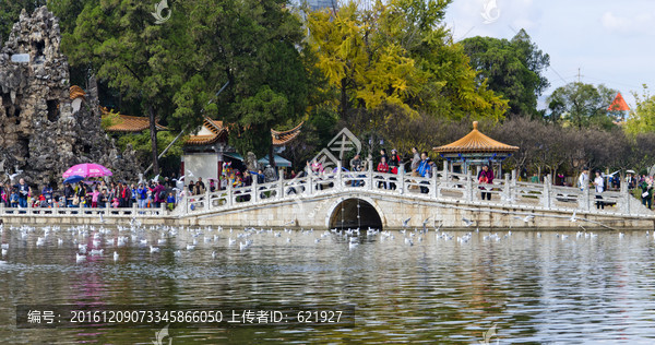 大观楼风景