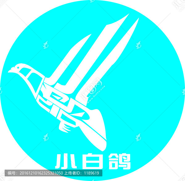 小白鴿