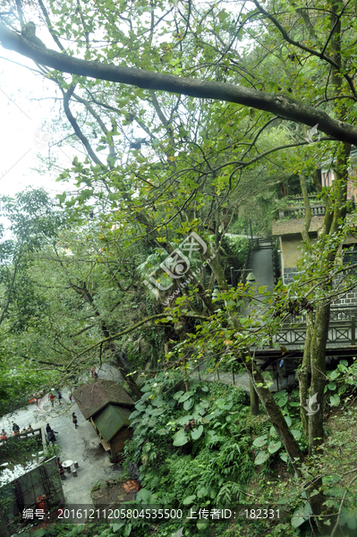 山林景色-匯圖網(wǎng) www.fosd68.com 山林景色