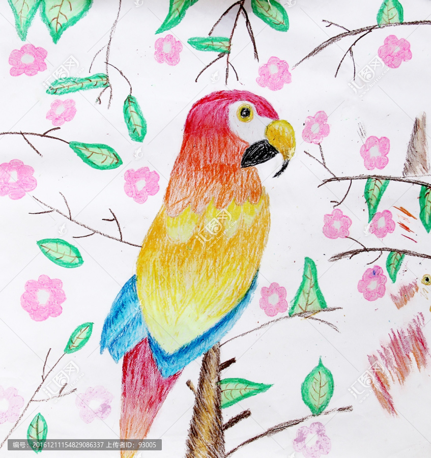 韓式插畫,斑鳩插畫