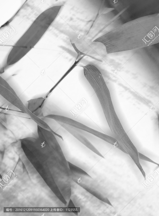 墨竹