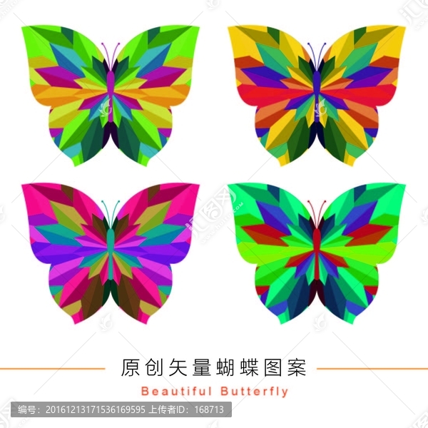 矢量蝴蝶圖案
