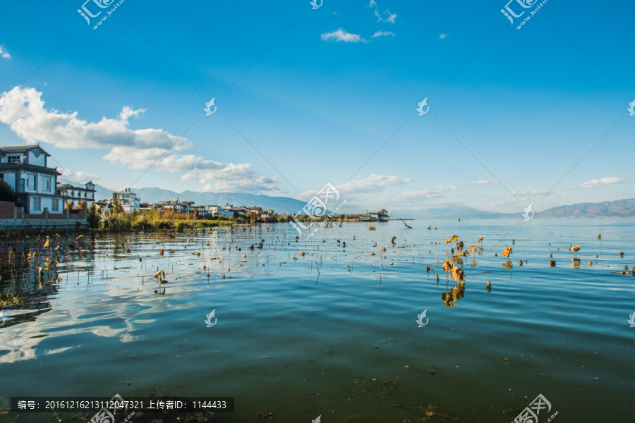 大理,洱海,风光