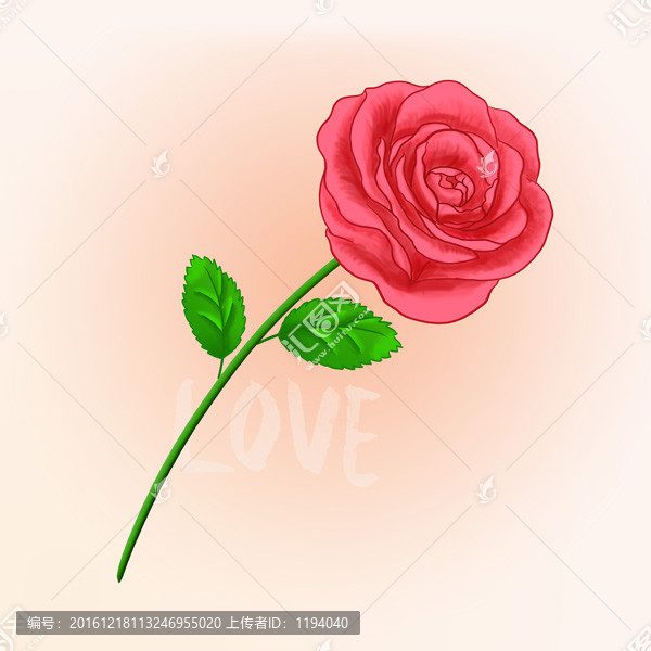 手绘花卉玫瑰图片分层