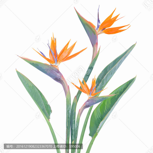手繪花