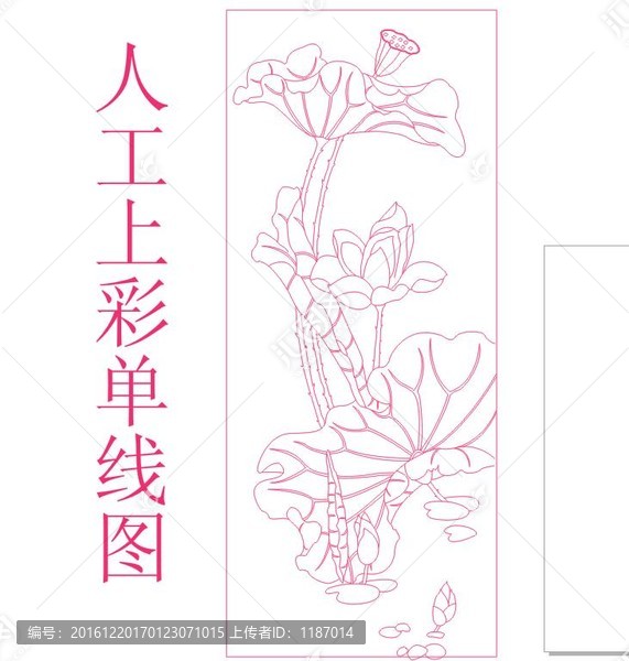 上彩單線荷花圖