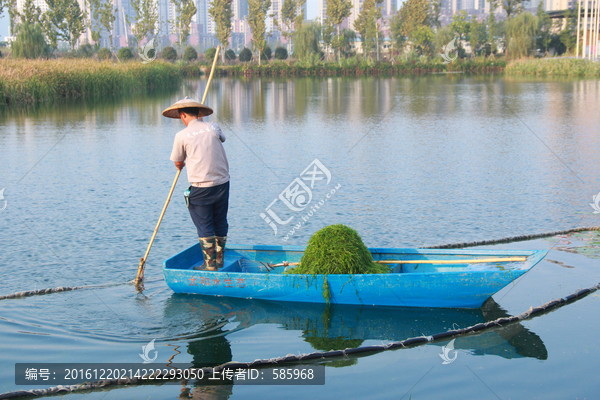 湖面清洁工捞水草