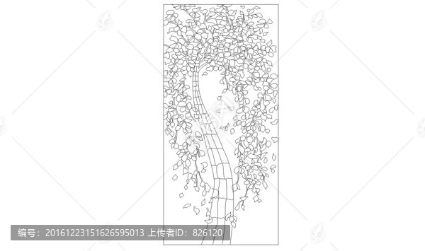 發(fā)財(cái)樹