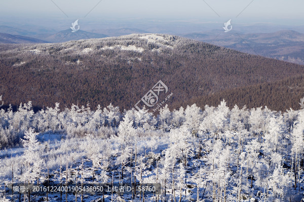 林海雪原雾凇