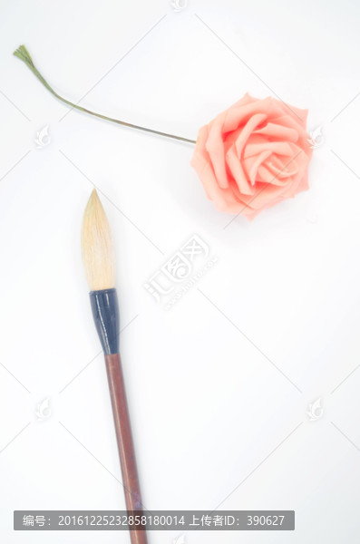 白色背景上的玫瑰花和毛笔