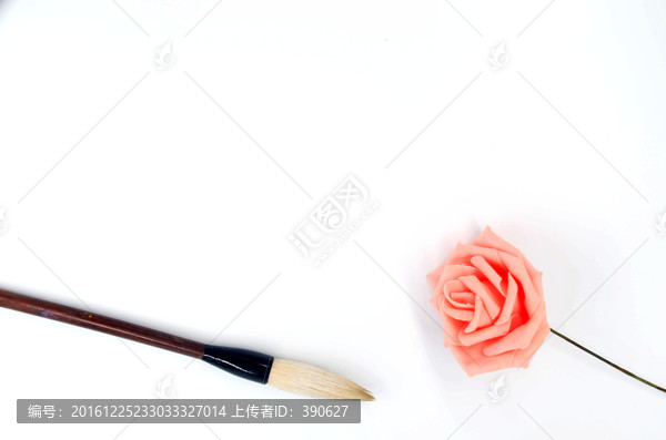 白色背景上的玫瑰花和毛笔