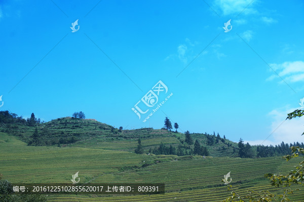 龙脊梯田风景