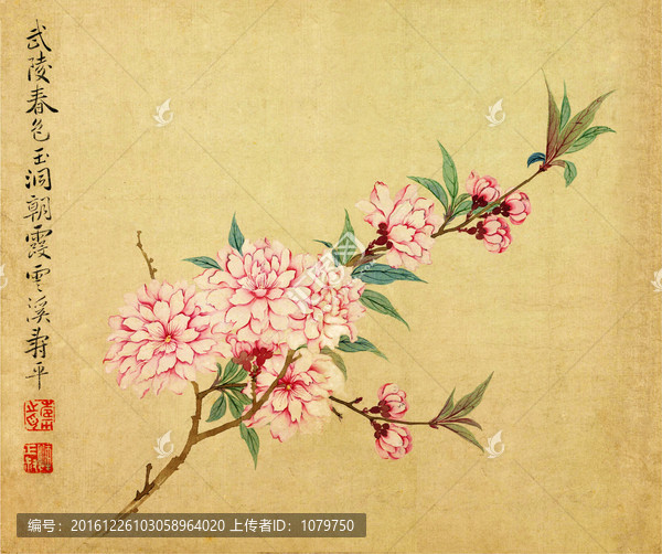 桃花