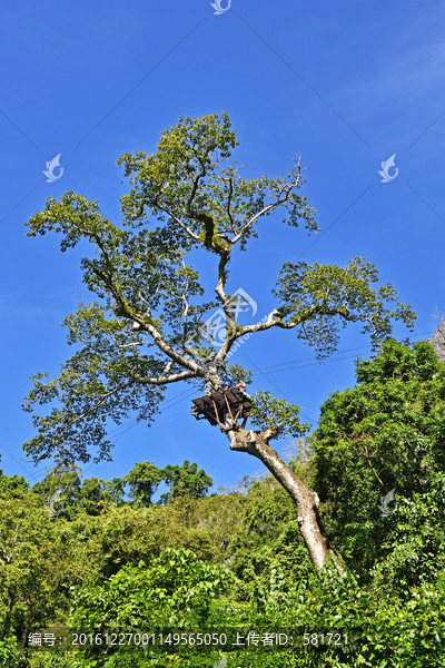 高空滑索