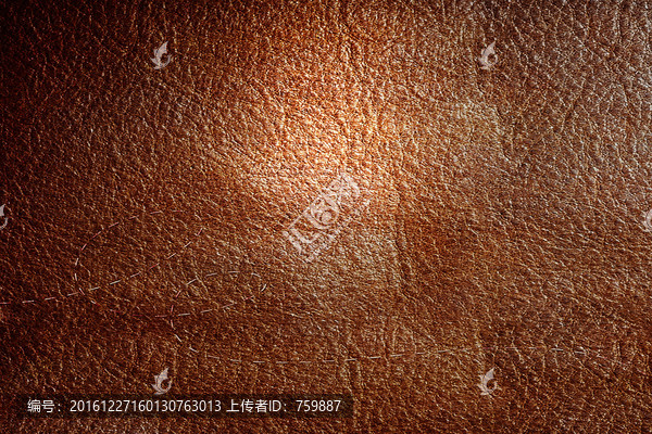 滄桑樹紋