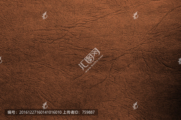 滄桑樹紋
