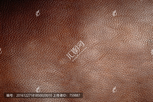 真皮紋理