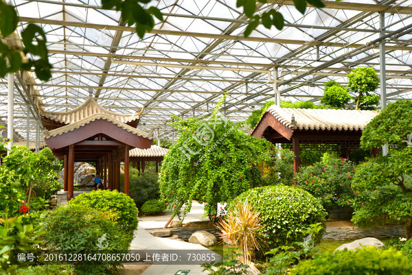 植物园,游乐园,室内,绿化