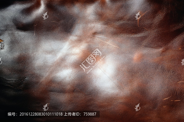 真皮紋理