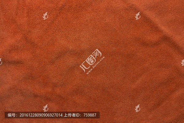 樹紋