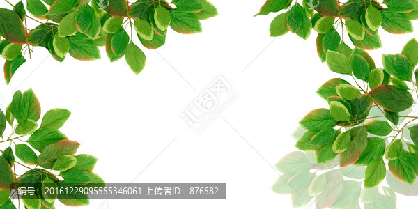 綠葉邊框