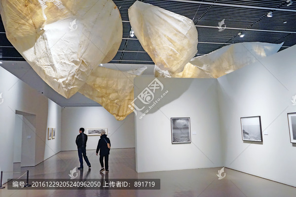 美术展,展会,博物馆展厅