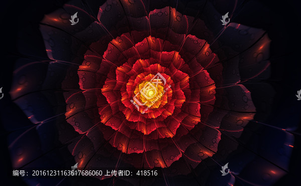 花朵