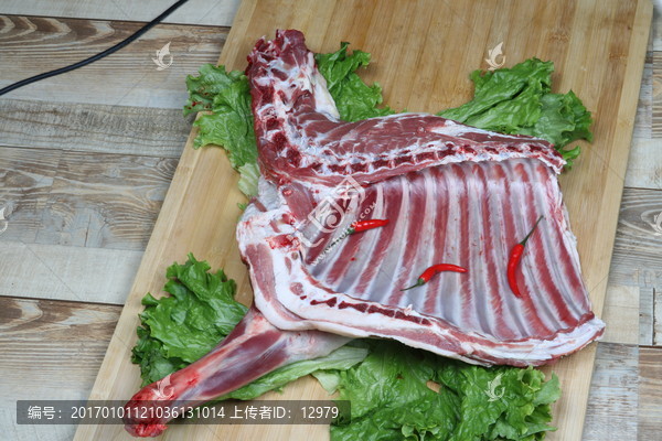 羊肉寧夏鹽池灘羊肉大草原綿羊羯