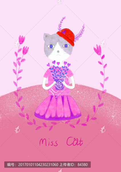 猫小姐,miss,cat