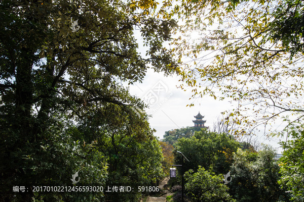 观音寺大悲阁远眺