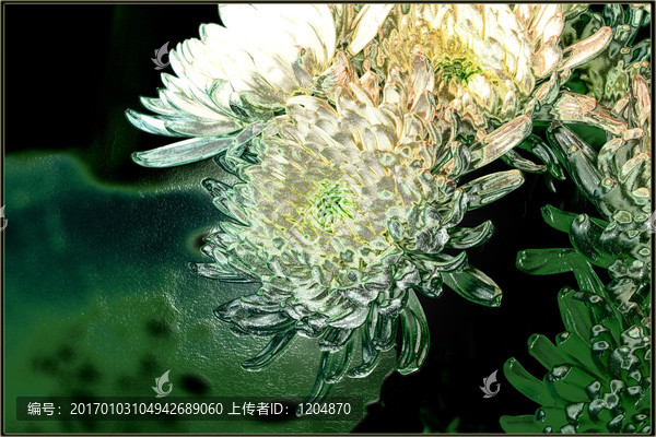 菊花,tif分層