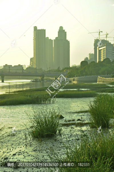 城市滩涂