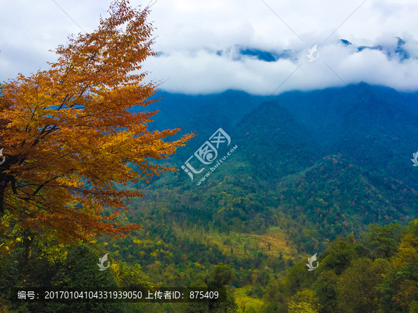 峨边黑竹沟世界迷都