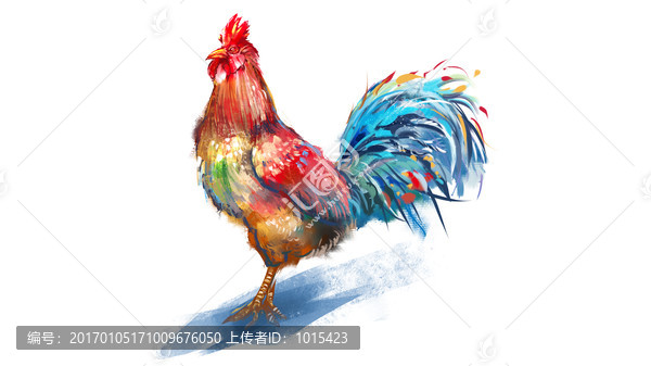 花公雞