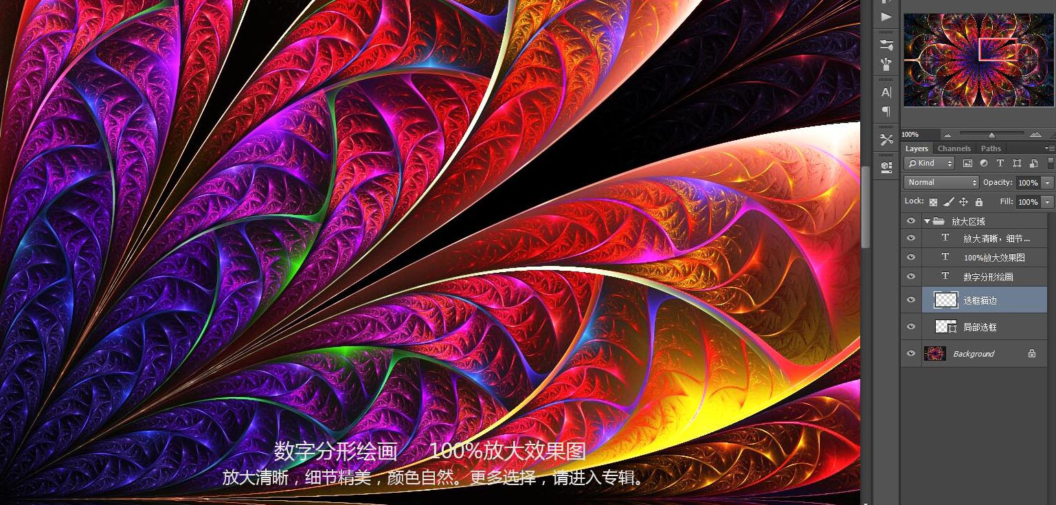 花紋圖案
