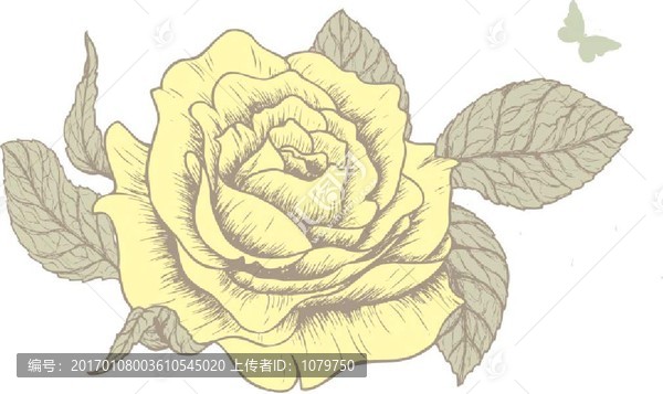 花卉