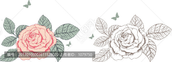花卉