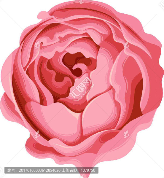 花卉