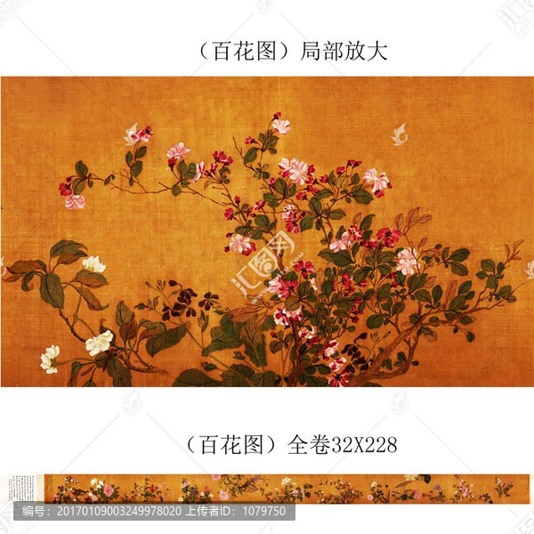 花卉