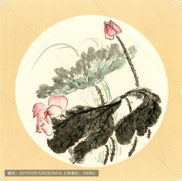 國(guó)畫荷花
