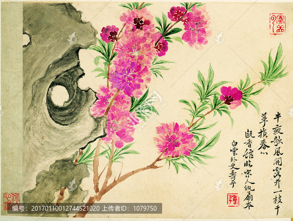 桃花石頭圖